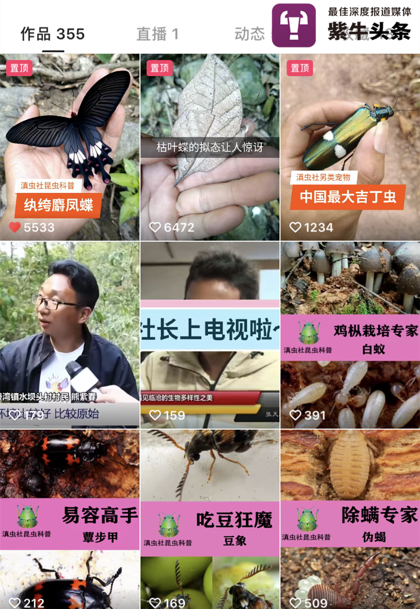 【紫牛头条】90后大学生回村支援,成了科普博主,靠“玩虫子”带火家乡休闲区蓝鸢梦想 - Www.slyday.coM 【紫牛头条】90后大学生回村支援,成了科普博主,靠“玩虫子”带火家乡休闲区蓝鸢梦想 - Www.slyday.coM