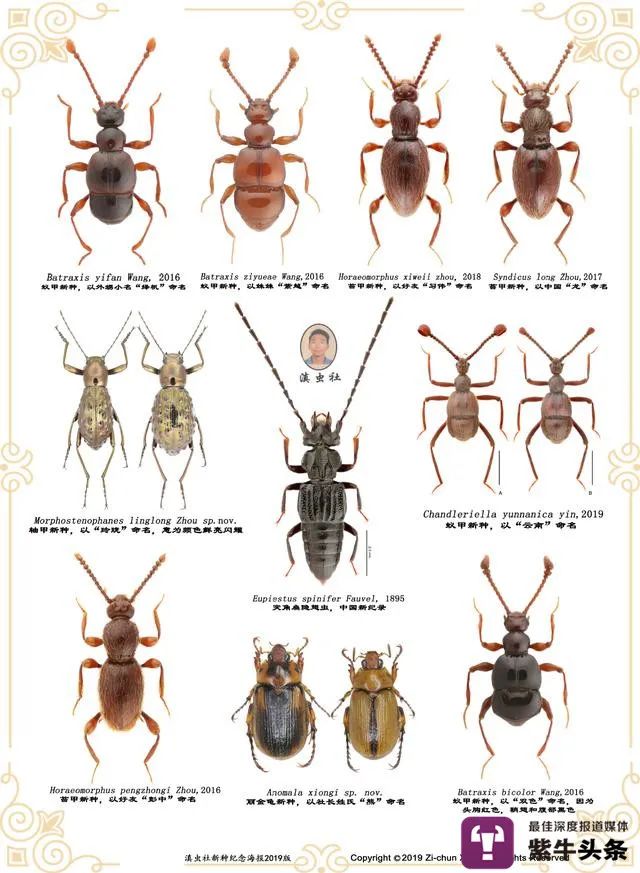 【紫牛头条】90后大学生回村支援,成了科普博主,靠“玩虫子”带火家乡休闲区蓝鸢梦想 - Www.slyday.coM 【紫牛头条】90后大学生回村支援,成了科普博主,靠“玩虫子”带火家乡休闲区蓝鸢梦想 - Www.slyday.coM