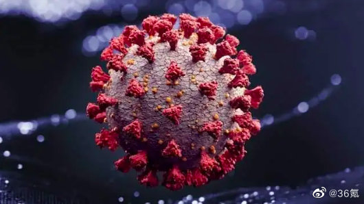 德尔塔毒株可能卷土重来,或可能出现新的变种毒株休闲区蓝鸢梦想 - Www.slyday.coM 德尔塔毒株可能卷土重来,或可能出现新的变种毒株休闲区蓝鸢梦想 - Www.slyday.coM