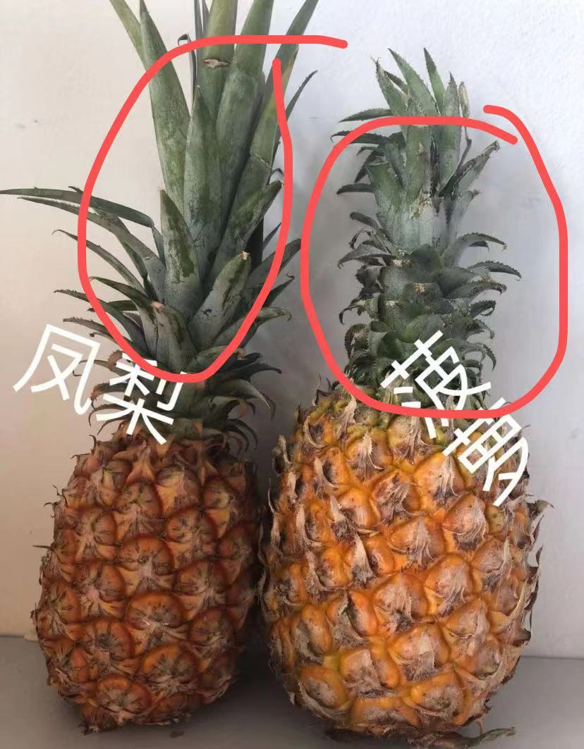 朋友和恋人的区别是什么？