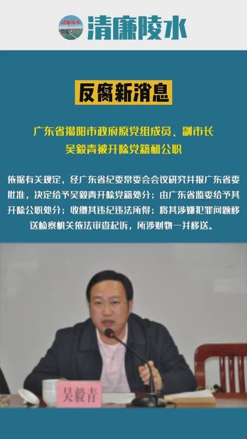 广东省揭阳市政府原党组成员,副市长吴毅青被开除党籍和公职__财经