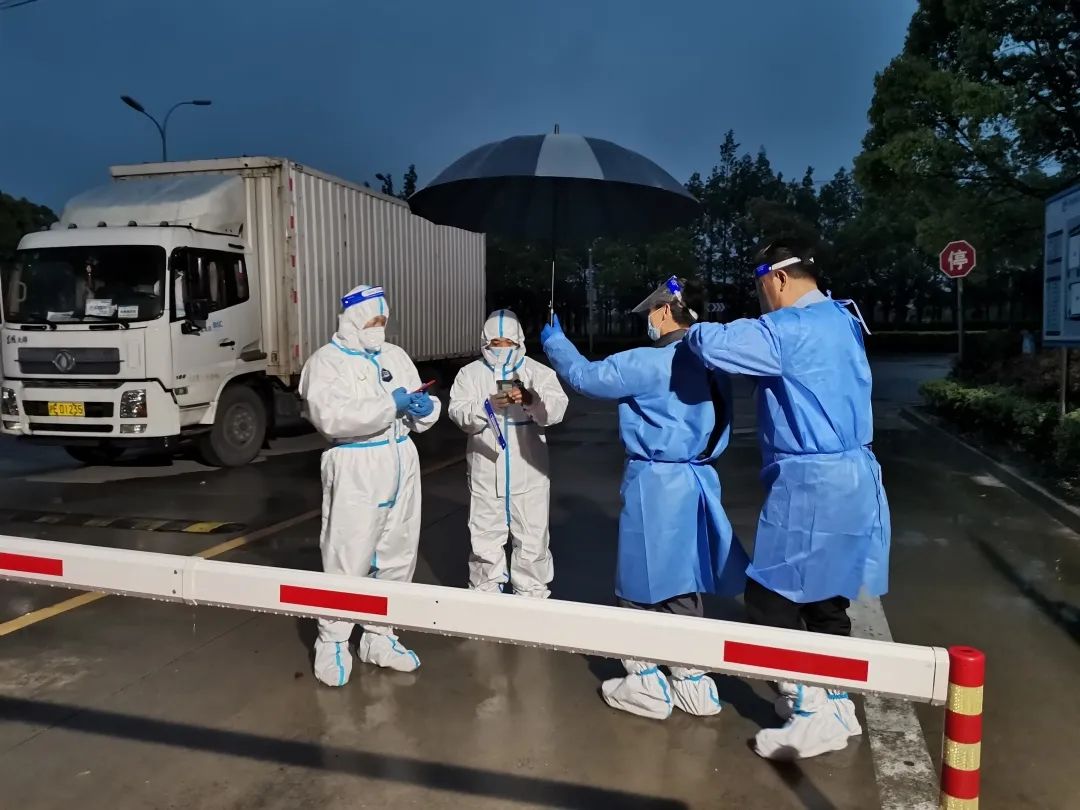 橡树枝上的“战争”...