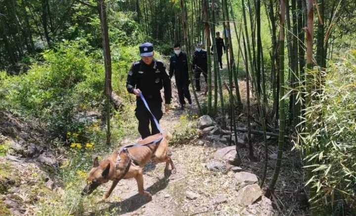 80多人24小时不间断搜寻,走失山林间的杭州老太终于被找到了休闲区蓝鸢梦想 - Www.slyday.coM 80多人24小时不间断搜寻,走失山林间的杭州老太终于被找到了休闲区蓝鸢梦想 - Www.slyday.coM