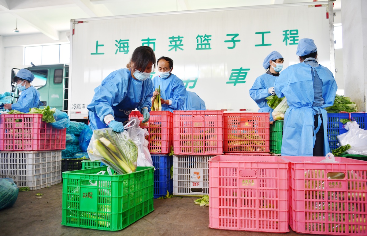 2022年5月3日，上海，青浦蔬菜基地，工作人员将各类蔬菜分拣打包。