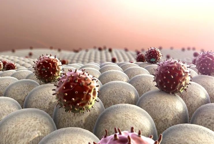 奥密克戎又变异了,BA.5传播速度增大25%…这些是今天你不愿意看也不愿相信的新闻休闲区蓝鸢梦想 - Www.slyday.coM 奥密克戎又变异了,BA.5传播速度增大25%…这些是今天你不愿意看也不愿相信的新闻休闲区蓝鸢梦想 - Www.slyday.coM