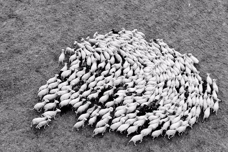 奥密克戎又变异了,BA.5传播速度增大25%…这些是今天你不愿意看也不愿相信的新闻休闲区蓝鸢梦想 - Www.slyday.coM 奥密克戎又变异了,BA.5传播速度增大25%…这些是今天你不愿意看也不愿相信的新闻休闲区蓝鸢梦想 - Www.slyday.coM