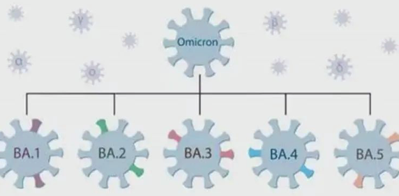 奥密克戎又变异了,BA.5传播速度增大25%…这些是今天你不愿意看也不愿相信的新闻休闲区蓝鸢梦想 - Www.slyday.coM 奥密克戎又变异了,BA.5传播速度增大25%…这些是今天你不愿意看也不愿相信的新闻休闲区蓝鸢梦想 - Www.slyday.coM