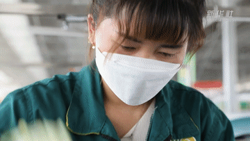 奋斗者·正青春|“90后护花使者” 让黄土高原变最美花田