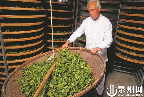 【寻找泉州世遗的中国之最】安溪西坪:最早发现铁观音母树休闲区蓝鸢梦想 - Www.slyday.coM 【寻找泉州世遗的中国之最】安溪西坪:最早发现铁观音母树休闲区蓝鸢梦想 - Www.slyday.coM