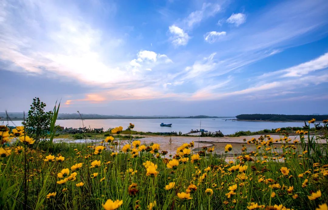 她才是山东最不该被遗忘的海滨小城!比大连更撩人,却美得很低调!休闲区蓝鸢梦想 - Www.slyday.coM 她才是山东最不该被遗忘的海滨小城!比大连更撩人,却美得很低调!休闲区蓝鸢梦想 - Www.slyday.coM
