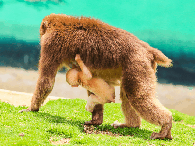她才是山东最不该被遗忘的海滨小城!比大连更撩人,却美得很低调!休闲区蓝鸢梦想 - Www.slyday.coM 她才是山东最不该被遗忘的海滨小城!比大连更撩人,却美得很低调!休闲区蓝鸢梦想 - Www.slyday.coM
