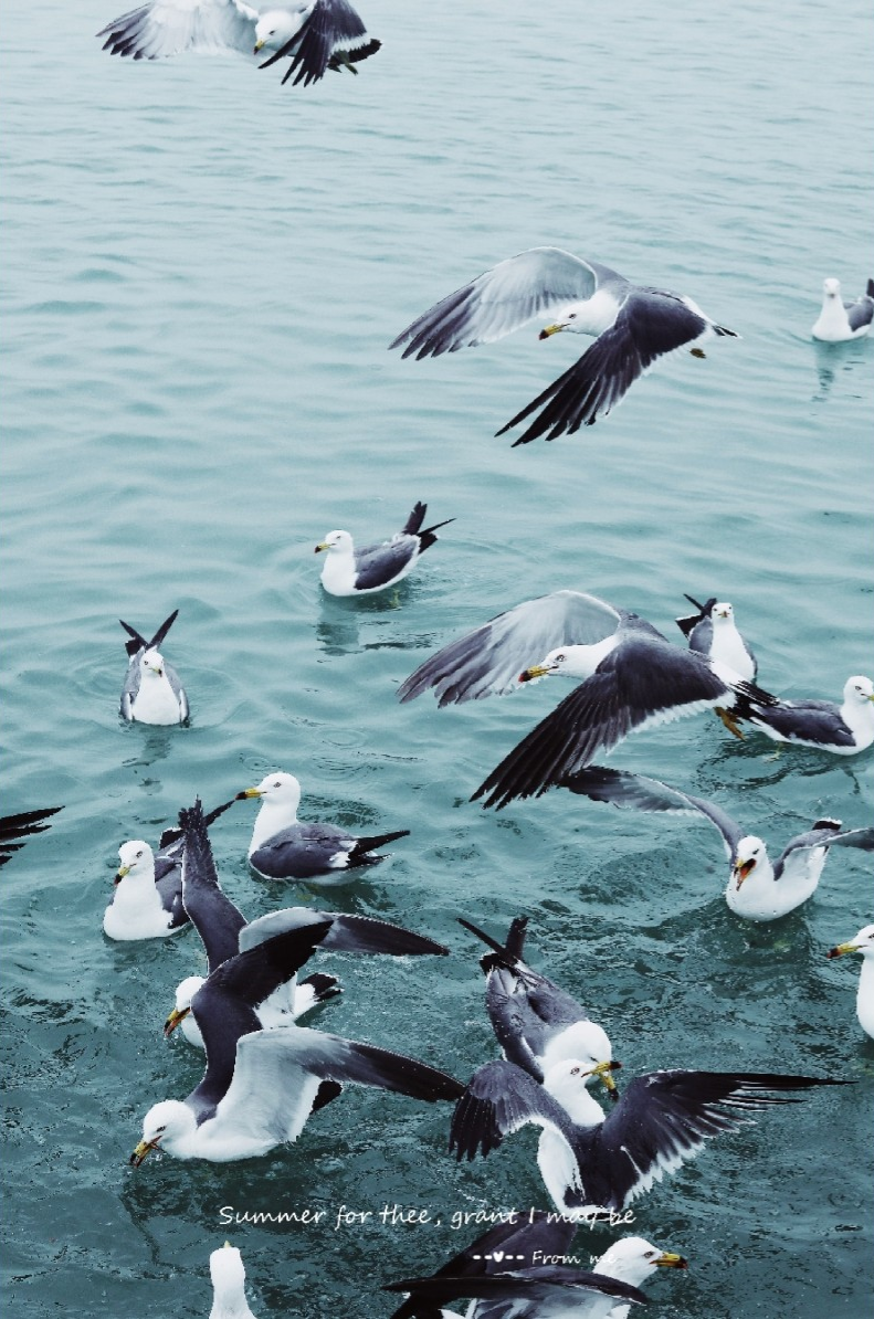 她才是山东最不该被遗忘的海滨小城!比大连更撩人,却美得很低调!休闲区蓝鸢梦想 - Www.slyday.coM 她才是山东最不该被遗忘的海滨小城!比大连更撩人,却美得很低调!休闲区蓝鸢梦想 - Www.slyday.coM