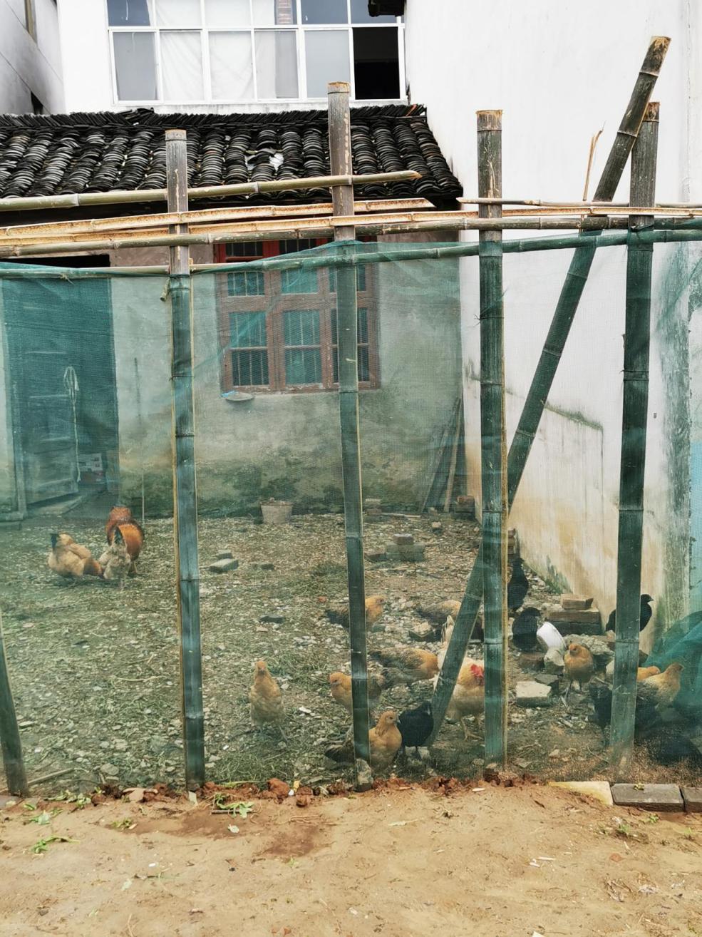 人类被外星人圈养证据 地球是外星文明动物园吗