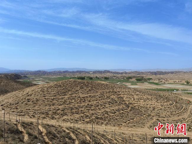 4月底，正在建设中的45万亩“平川区国家储备林项目”。 冯志军 摄