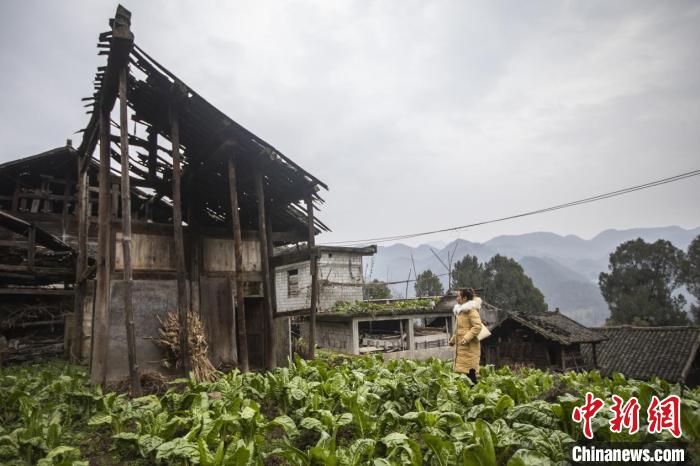 图为陈霞老家的房子。 受访者供图