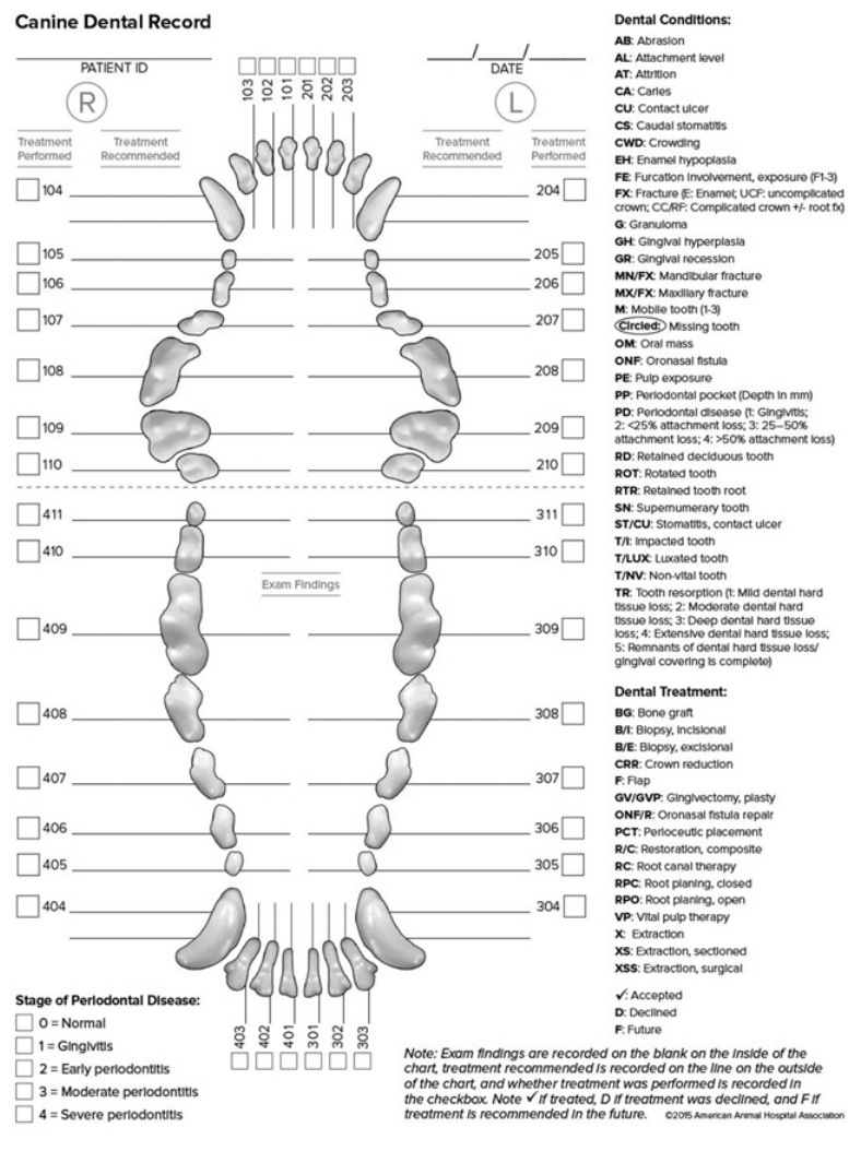 再也忍不了猫狗的口气了!但全麻洗牙靠谱吗?休闲区蓝鸢梦想 - Www.slyday.coM 再也忍不了猫狗的口气了!但全麻洗牙靠谱吗?休闲区蓝鸢梦想 - Www.slyday.coM