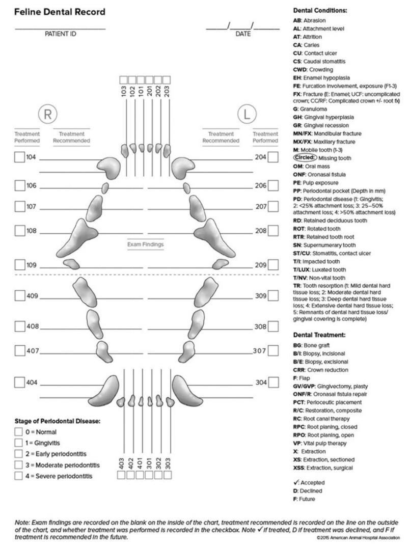 再也忍不了猫狗的口气了!但全麻洗牙靠谱吗?休闲区蓝鸢梦想 - Www.slyday.coM 再也忍不了猫狗的口气了!但全麻洗牙靠谱吗?休闲区蓝鸢梦想 - Www.slyday.coM