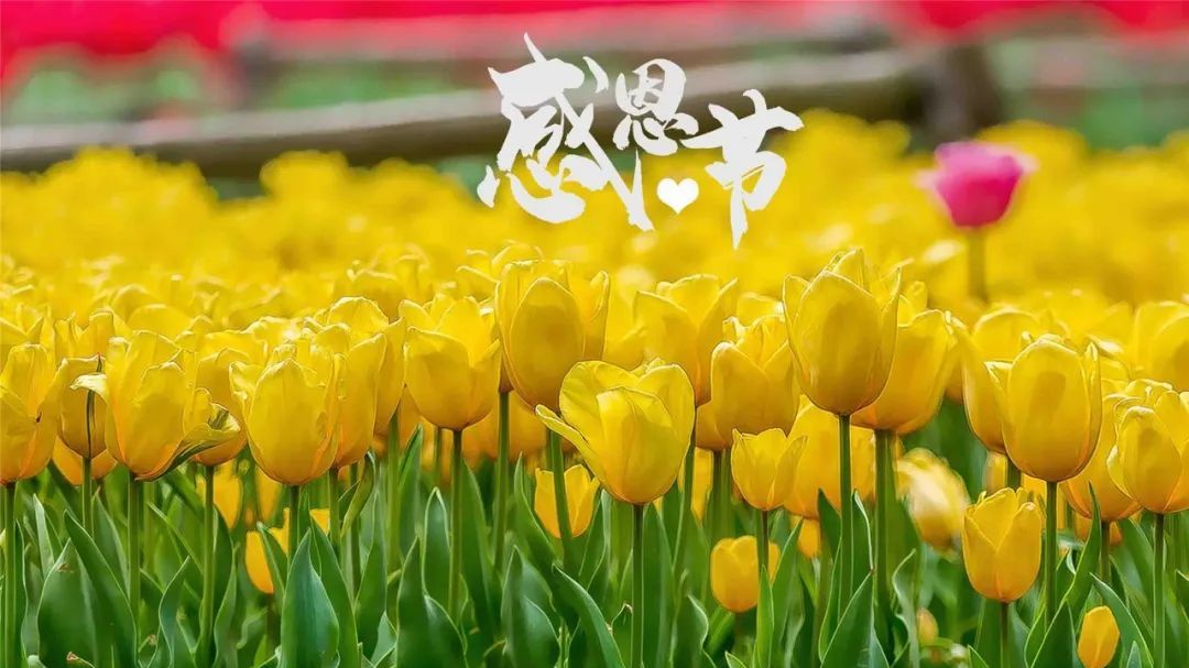如何区别好域名与坏域名？有什么细节可分清？