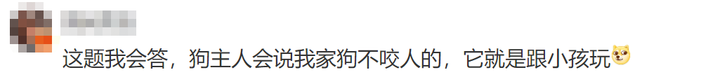 女孩被未拴绳小狗狂追数十秒,狗主人淡定围观休闲区蓝鸢梦想 - Www.slyday.coM 女孩被未拴绳小狗狂追数十秒,狗主人淡定围观休闲区蓝鸢梦想 - Www.slyday.coM