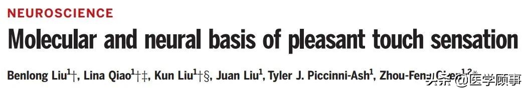 拥抱、牵手、爱抚为什么会让我们觉得好舒服?休闲区蓝鸢梦想 - Www.slyday.coM 拥抱、牵手、爱抚为什么会让我们觉得好舒服?休闲区蓝鸢梦想 - Www.slyday.coM