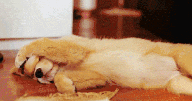 为什么午睡醒来会觉得孤独?答案在你的大脑里休闲区蓝鸢梦想 - Www.slyday.coM 为什么午睡醒来会觉得孤独?答案在你的大脑里休闲区蓝鸢梦想 - Www.slyday.coM