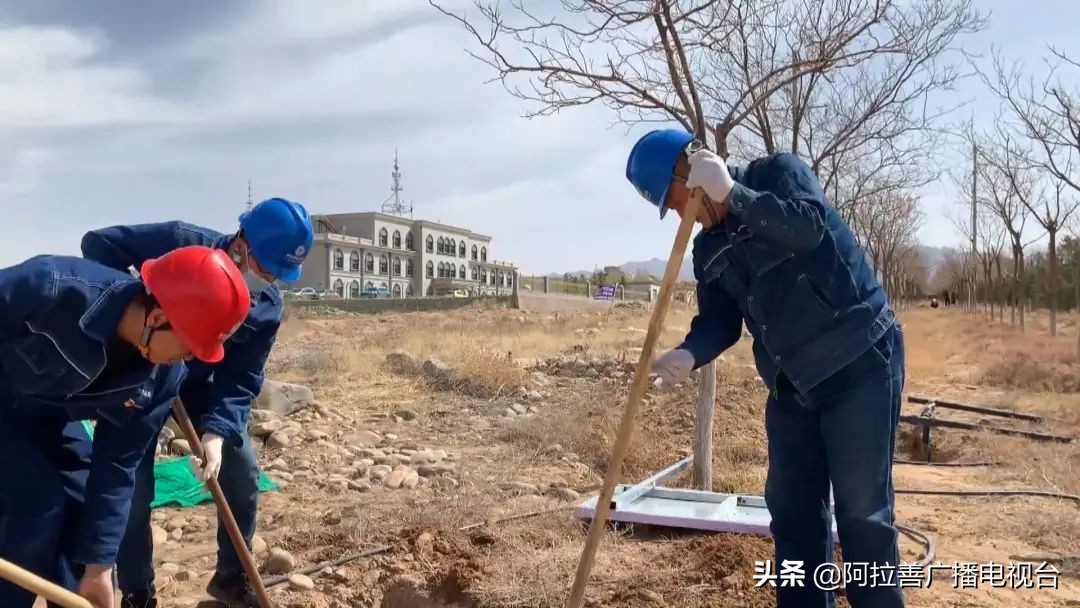 电网春检春查迎夏峰阿拉善(图7)