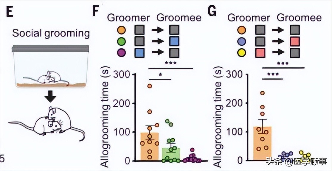 拥抱、牵手、爱抚为什么会让我们觉得好舒服?休闲区蓝鸢梦想 - Www.slyday.coM 拥抱、牵手、爱抚为什么会让我们觉得好舒服?休闲区蓝鸢梦想 - Www.slyday.coM