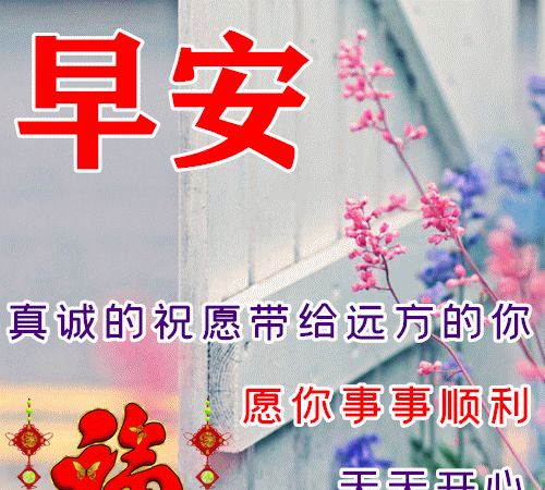 最新早安问候语动态图片表情暖心的早上好祝福语图片带字