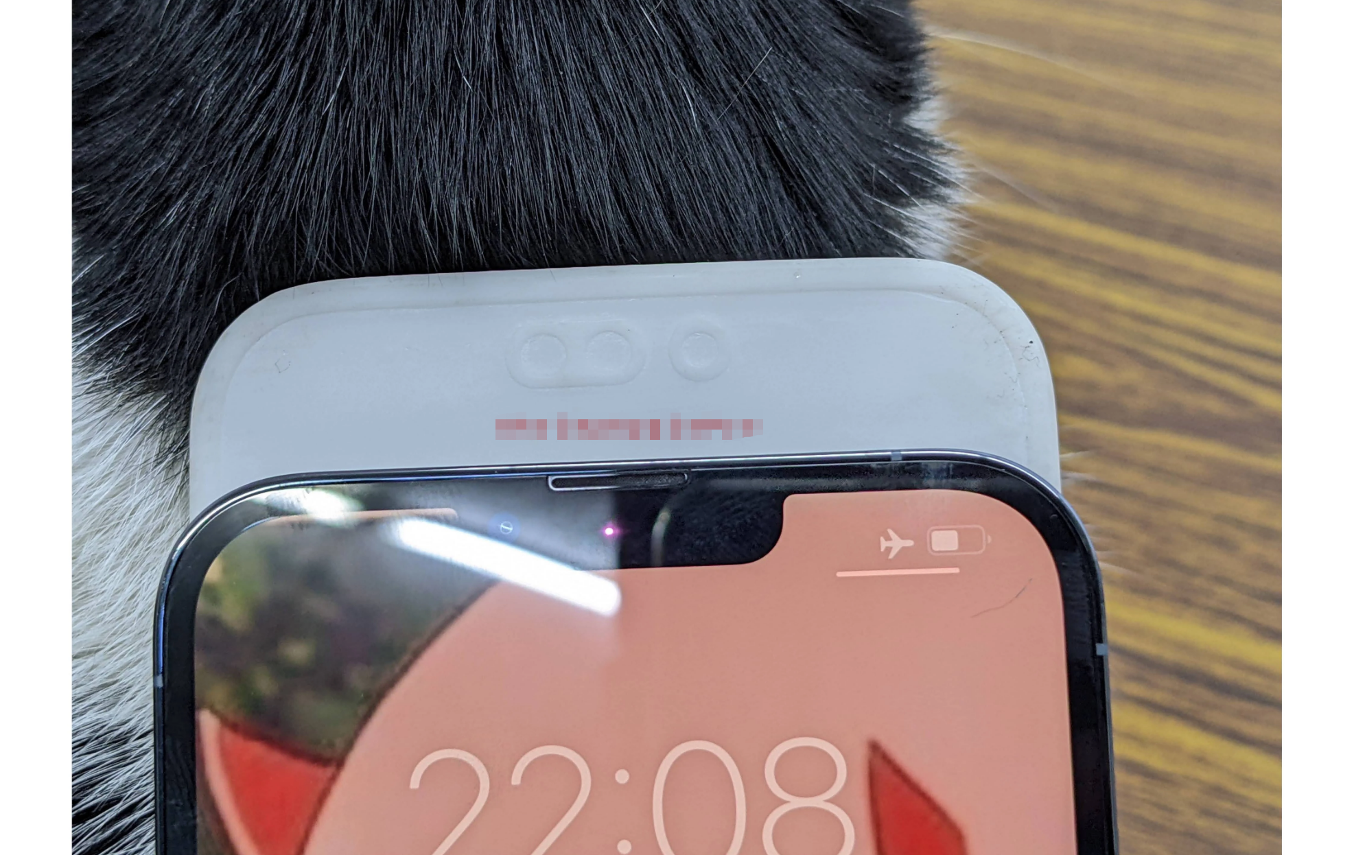 iPhone 14 Pro Max进一步被确认!新前置镜头大改,13:很慌!休闲区蓝鸢梦想 - Www.slyday.coM iPhone 14 Pro Max进一步被确认!新前置镜头大改,13:很慌!休闲区蓝鸢梦想 - Www.slyday.coM