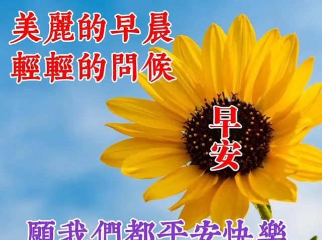 最新早安问候祝福语图片带字温馨早上好问候语动态表情图片