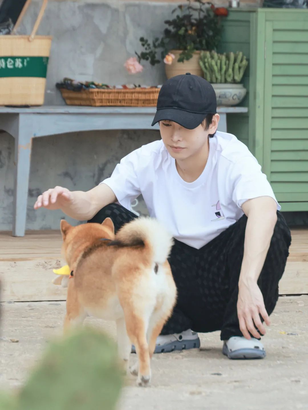 但愿这个夏天,能去海边过“向往的生活”休闲区蓝鸢梦想 - Www.slyday.coM 但愿这个夏天,能去海边过“向往的生活”休闲区蓝鸢梦想 - Www.slyday.coM