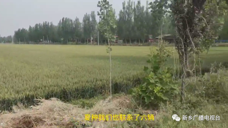 真给力! 在外务工村民请放心 小麦收割有人管休闲区蓝鸢梦想 - Www.slyday.coM 真给力! 在外务工村民请放心 小麦收割有人管休闲区蓝鸢梦想 - Www.slyday.coM