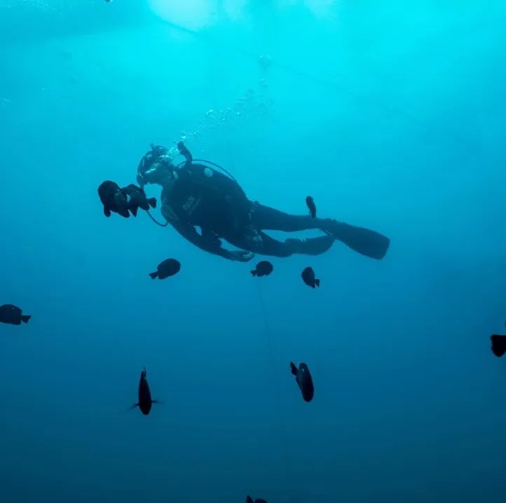 但愿这个夏天,能去海边过“向往的生活”休闲区蓝鸢梦想 - Www.slyday.coM 但愿这个夏天,能去海边过“向往的生活”休闲区蓝鸢梦想 - Www.slyday.coM