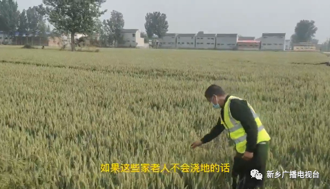 真给力! 在外务工村民请放心 小麦收割有人管休闲区蓝鸢梦想 - Www.slyday.coM 真给力! 在外务工村民请放心 小麦收割有人管休闲区蓝鸢梦想 - Www.slyday.coM