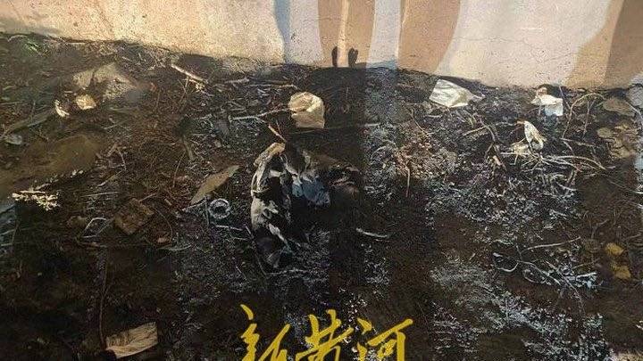 警方回应哈尔滨男子烧伤死亡:曹某涛自带汽油和打火机将曹卢二人烧伤,后曹某涛抢救无效死亡休闲区蓝鸢梦想 - Www.slyday.coM 警方回应哈尔滨男子烧伤死亡:曹某涛自带汽油和打火机将曹卢二人烧伤,后曹某涛抢救无效死亡休闲区蓝鸢梦想 - Www.slyday.coM