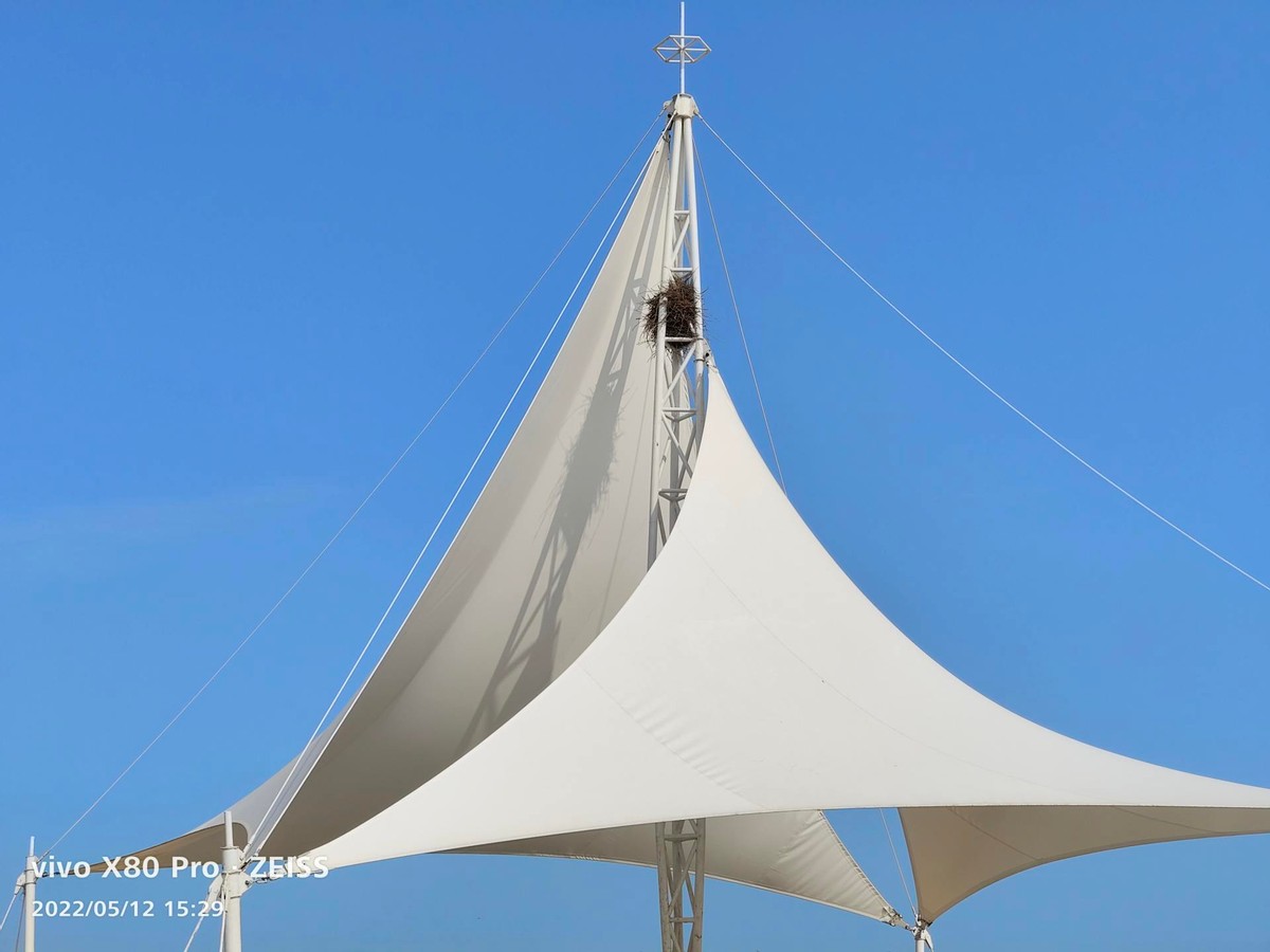 vivo X80 Pro 骁龙 8 版本体验:蔡司影像+双芯性能旗舰休闲区蓝鸢梦想 - Www.slyday.coM vivo X80 Pro 骁龙 8 版本体验:蔡司影像+双芯性能旗舰休闲区蓝鸢梦想 - Www.slyday.coM