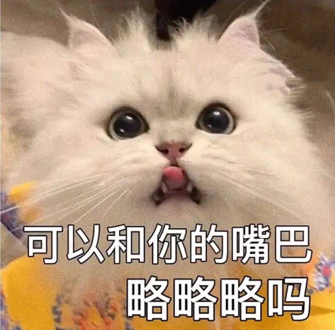 猫咪舔舌头 GIF 动图表情包_动图_gif_猫咪表情 - 发表情 - fabiaoqing.com