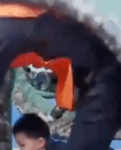 Papi酱被现场逼疯,反怼引2.7亿网友怒赞:爸爸带不带娃,妈妈过的是两种人生休闲区蓝鸢梦想 - Www.slyday.coM Papi酱被现场逼疯,反怼引2.7亿网友怒赞:爸爸带不带娃,妈妈过的是两种人生休闲区蓝鸢梦想 - Www.slyday.coM