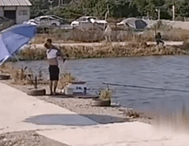 Papi酱被现场逼疯,反怼引2.7亿网友怒赞:爸爸带不带娃,妈妈过的是两种人生休闲区蓝鸢梦想 - Www.slyday.coM Papi酱被现场逼疯,反怼引2.7亿网友怒赞:爸爸带不带娃,妈妈过的是两种人生休闲区蓝鸢梦想 - Www.slyday.coM