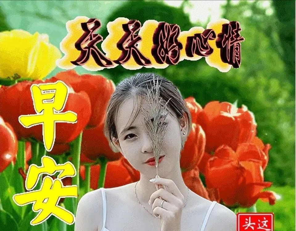 清晨问候朋友的早安阳光暖心句子早上好问候动态表情图片带字