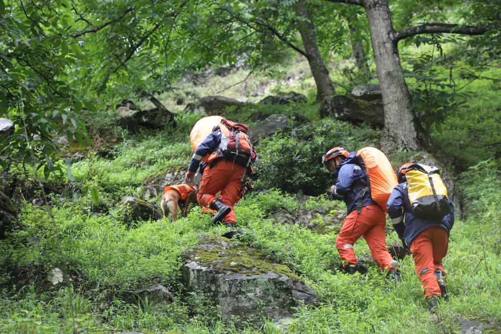  5月14日，云南省森林消防总队救援人员进山搜救失联人员。（云南省森林消防总队供图）