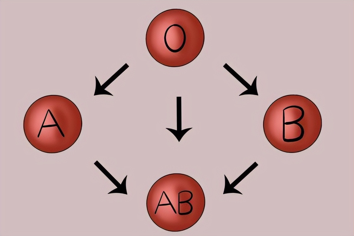 血型可以决定大脑衰老的速度?哪种血型不易患老年痴呆?该相信吗休闲区蓝鸢梦想 - Www.slyday.coM 血型可以决定大脑衰老的速度?哪种血型不易患老年痴呆?该相信吗休闲区蓝鸢梦想 - Www.slyday.coM