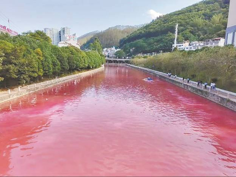 广西一河水被“血”染红？市民感到担忧，会是污染吗？