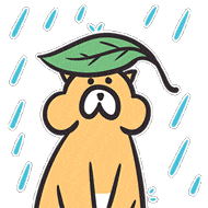 注意了!今明两日厦门雨水持续在线本轮冷空气将影响到17日插图 注意了!今明两日厦门雨水持续在线本轮冷空气将影响到17日插图