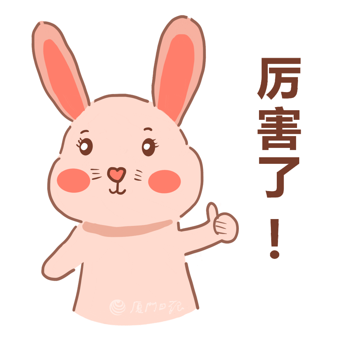 厦门!最新消息→插图5 厦门!最新消息→插图5