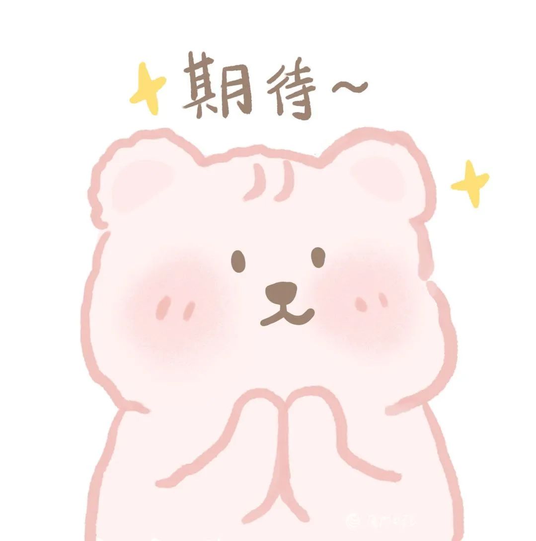 厦门!最新消息→插图 厦门!最新消息→插图