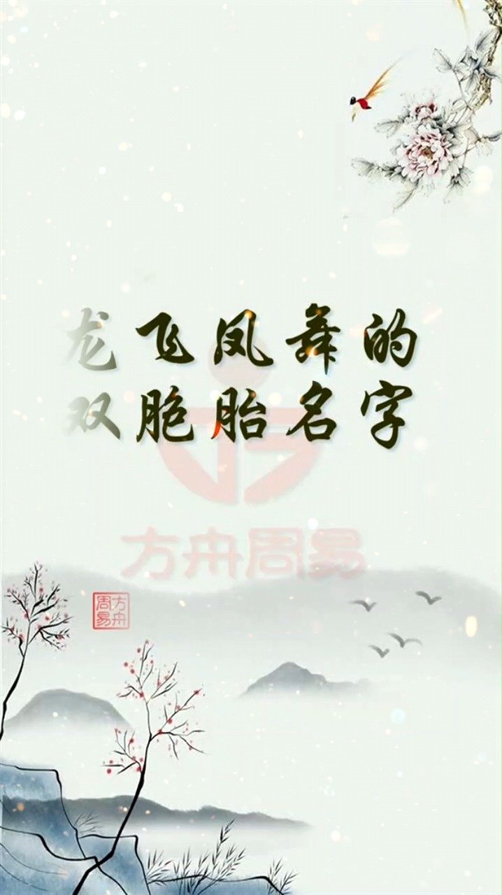 龙飞凤舞的双胞胎名字
