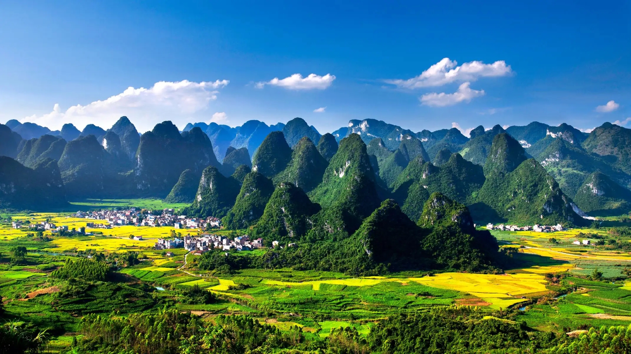 贵州大山野生老虎现状 威宁龙吟事件真相揭秘