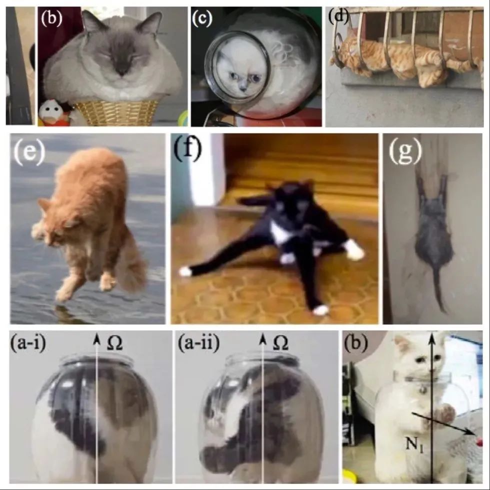 夹心饼干里居然藏了这么多流变学原理,你真的会“扭一扭”奥利奥吗?休闲区蓝鸢梦想 - Www.slyday.coM 夹心饼干里居然藏了这么多流变学原理,你真的会“扭一扭”奥利奥吗?休闲区蓝鸢梦想 - Www.slyday.coM