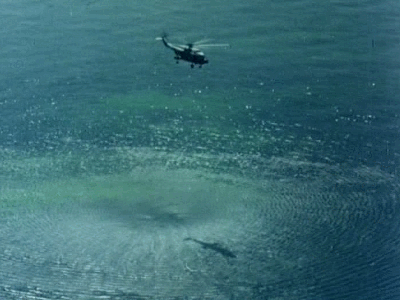 42年前的今天,东风五号震惊世界!休闲区蓝鸢梦想 - Www.slyday.coM 42年前的今天,东风五号震惊世界!休闲区蓝鸢梦想 - Www.slyday.coM